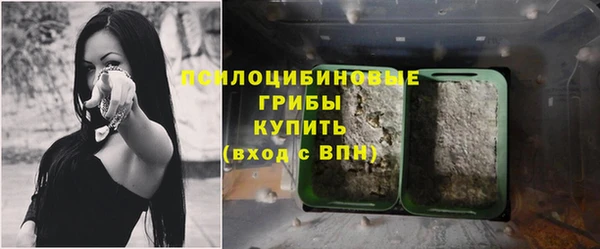 молекула духа Аркадак