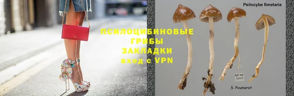 молекула духа Аркадак