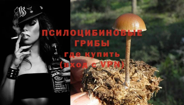 эйфоретик Баксан