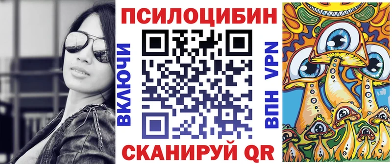 Псилоцибиновые грибы Psilocybe  купить наркоту  Пущино 